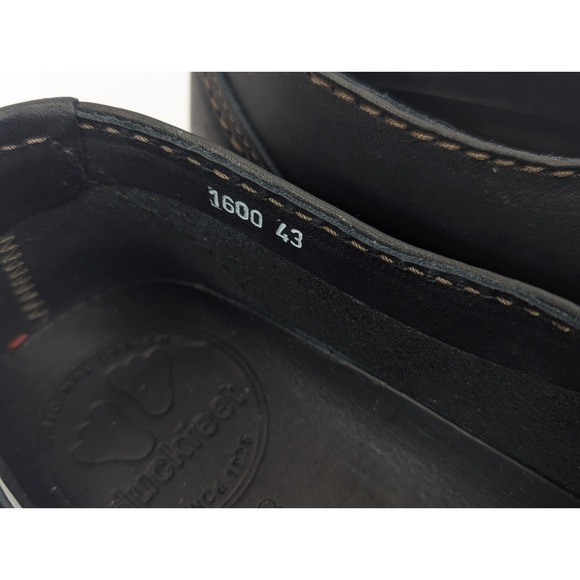 Duckfe - Picture 10 of 12